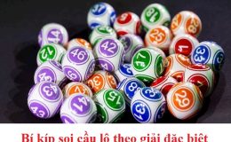 Soi lô đề siêu chuẩn theo giải đặc biệt